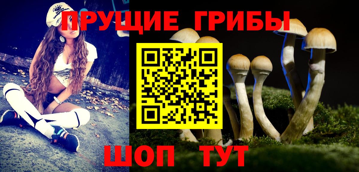 Коммунар  Галлюциногенные грибы Magic Shrooms  Вход с VPN 