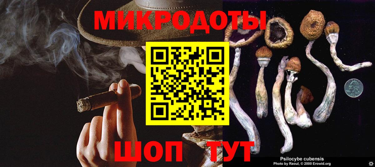Галлюциногенные грибы Psilocybine cubensis Коммунар